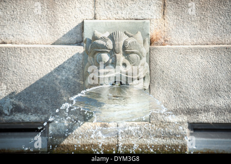 Testa di drago fontana acqua a Chi Lin Monastero, Hong Kong Foto Stock