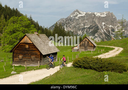 Mountain Biker su un alpeggio, regione Gesäuse, Stiria, Austria Foto Stock