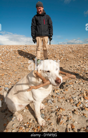 L'uomo con il suo labrador cane Foto Stock