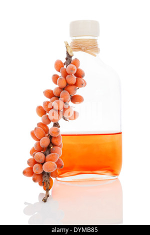 Bacche di olivello spinoso Olio in bottiglia di vetro e frutti di bosco freschi con gelo isolati su sfondo bianco. Una sana medicina alternativa. Foto Stock