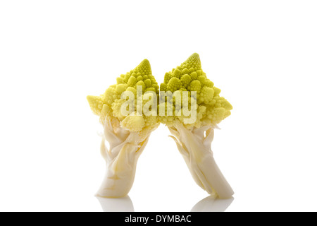 Cavolfiore romanica pezzi isolati su sfondo bianco con la riflessione. Un sano cibo crudo. Foto Stock