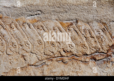 Asini scolpito in una tomba vicino alla grande Piramide di El Giza, Cairo. Foto Stock