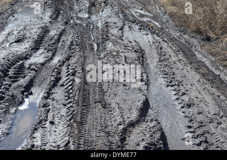 Tracce di pneumatici nel fango Foto Stock