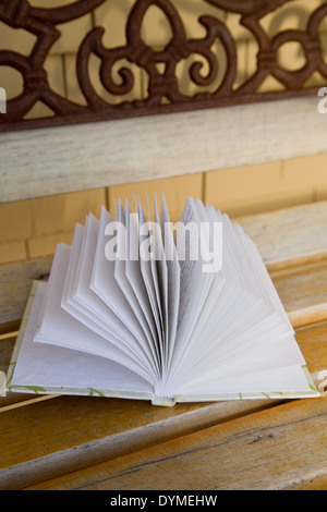 Libro bianco aperto a ventaglio seduto su una panca in legno Foto Stock