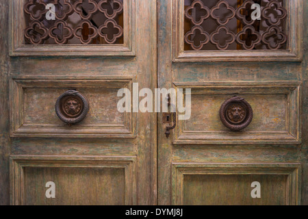 Testa di leone e snake porta manopole, Isola Saint Louis, Parigi, Francia Foto Stock