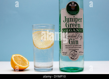 Ginepro organico verde il London gin, Londra Foto Stock