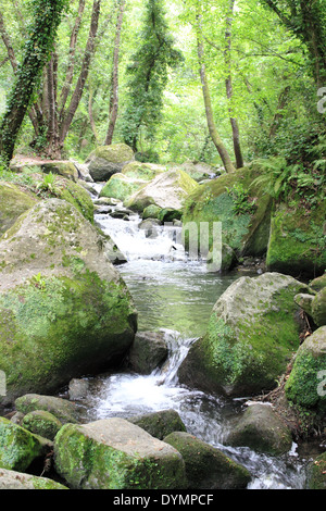 Bella rapids tra vegetazione vicino a Monte Gelato cascate. Roma, Italia Foto Stock