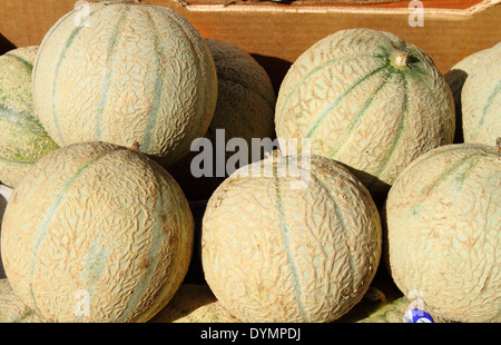 Meloni freschi visualizzati in un greengrocery Foto Stock