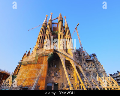 La Sagrada Familia - la famosa chiesa progettata da Antoni Gaudì a Barcellona, in Catalogna, Spagna Foto Stock