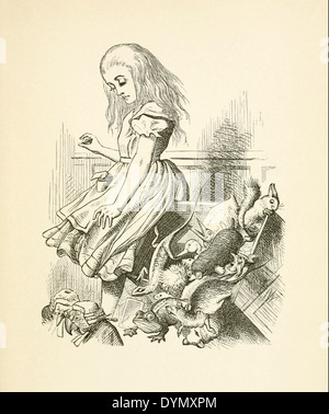 John Tenniel (1820-1914) illustrazione da Lewis Carroll Alice nel Paese delle Meraviglie", pubblicato nel 1865. Alice suggerimenti la giuria box. Foto Stock