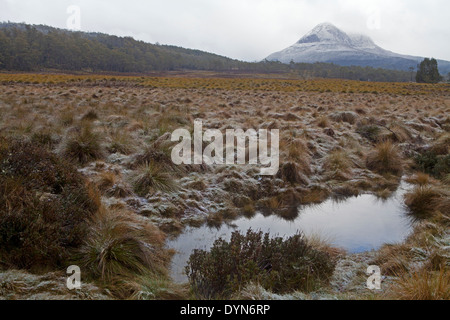 Vista invernale attraverso Pelion pianure a Mt Pelion West Foto Stock