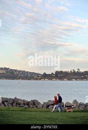 Giovane passeggiate con il cane in Mill Valley California Foto Stock