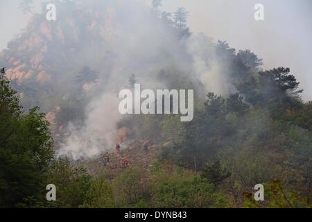 Qinhuangdao cinese nella provincia di Hebei. 23 apr 2014. I vigili del fuoco opera in corrispondenza di un fuoco di foresta nel sito di Funing, nel nord della Cina di nella provincia di Hebei, 23 aprile 2014. Gli incendi boschivi si è verificato nel villaggio Tianjiagou Xingxingyu e villaggio di Funing il lunedì. Credito: Yang Shirao/Xinhua/Alamy Live News Foto Stock