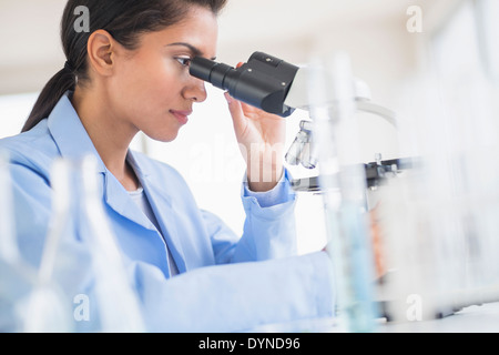 Scienziato ispanica tramite microscopio in laboratorio Foto Stock