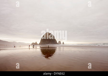 Haystack Rock riflessa nel surf, Cannon Beach, Oregon, Stati Uniti Foto Stock