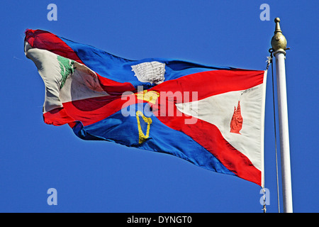 Queen's University di Belfast Standard volare alto. Foto Stock