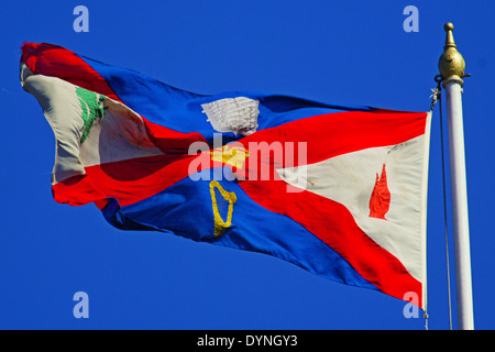 Queen's University di Belfast Standard volare alto. Foto Stock