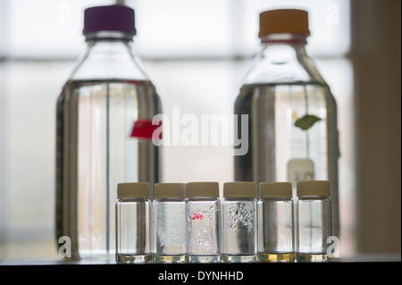 Contenitori di vetro in un laboratorio di College Park, Maryland Foto Stock