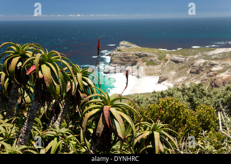 Capo di Buona Speranza a Cape Point, Città del Capo, Western Cape, Sud Africa Foto Stock