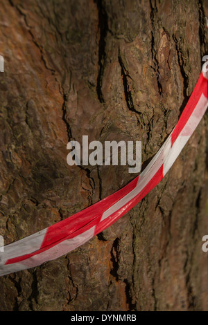 Luci di nastro avvolto attorno a un tronco di albero. Interessante contrasto tra naturale e fatta dall'uomo. Serbatoio Hanningfield, UK. Foto Stock