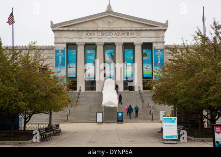 Persone immettere il Shedd Aquarium di Chicago, Illinois USA Foto Stock