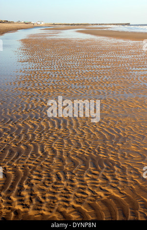 Alla luce della sera Walberswick sulla spiaggia di sabbia di ondulazioni suola Bay, Suffolk, Regno Unito. Vista nord verso Southwold. Foto Stock