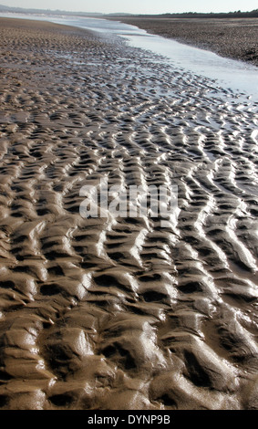 Alla luce della sera Walberswick sulla spiaggia di sabbia di ondulazioni suola Bay, Suffolk, Regno Unito. Vista sud verso Dunwich. Foto Stock