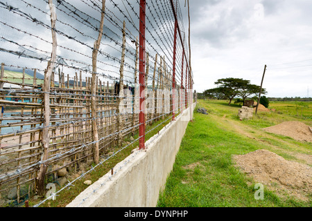 Recinzione Barbwire nel carcere di Iwahig e penali in Fattoria Puerto Princesa, PALAWAN FILIPPINE Foto Stock