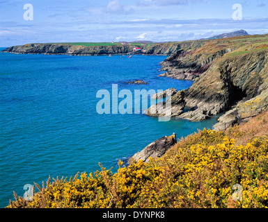 Da Maen Bachau guardando verso San Justinians Ramsey Sound Pembrokeshire Wales UK Foto Stock