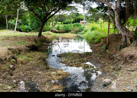Paesaggio rurale in Puerto Princesa, PALAWAN FILIPPINE Foto Stock