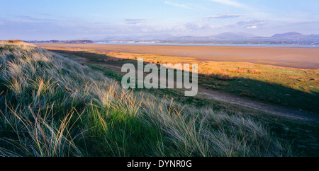 Caernarfon e Menai Straits da Newborough Warren Riserva Naturale Nazionale Anglesey north Wales UK Foto Stock