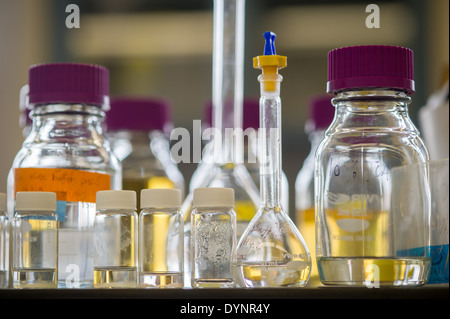 Contenitori di vetro in un laboratorio di College Park, Maryland Foto Stock