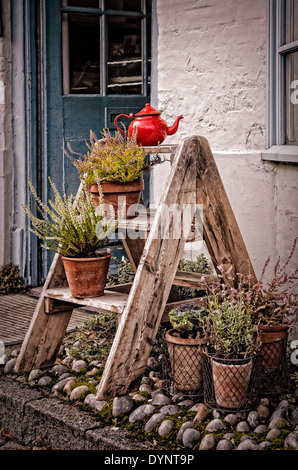 Piccoli passi con piante in vaso e un piccolo rosso teiera Foto Stock