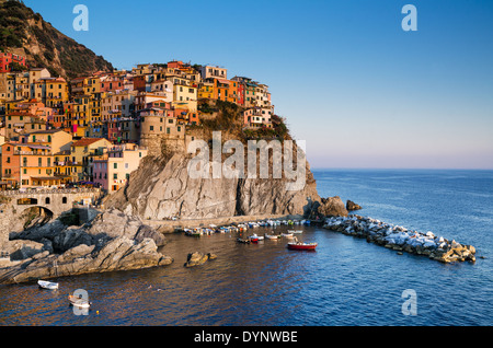 Manarola, piccola cittadina in provincia di La Spezia, Liguria, Italia settentrionale. È la seconda più piccola delle famose Cinque Terre Foto Stock