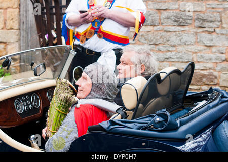 Bretforton, Evesham, Worcestershire, Regno Unito. Il 23 aprile 2014. San Giorgio, Tony Haines, tenendo il premio asparagi all'inizio della caccia al tesoro in occasione del lancio di questo anni British Asparagi Festival nella Valle di Evesham su St. Georges giorno. Credito: FG Ottico/ Alamy Live News Foto Stock