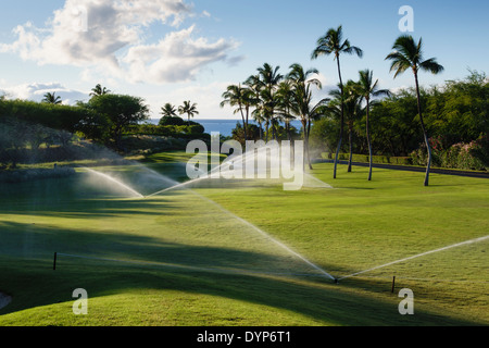 Pomeriggio di irrigazione del Mauna Kea golf Hawaii Foto Stock