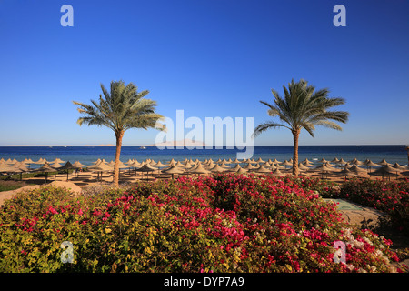 Spiaggia nel resort di Sharm El Sheikh in Egitto Foto Stock