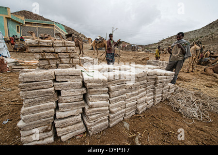 Lontano la gente che lavora le miniere di sale nella depressione di Danakil, Etiopia Foto Stock