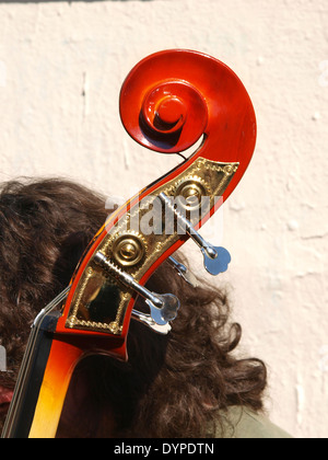 Paletta di immagine contrabbasso e testa del musicista Foto Stock