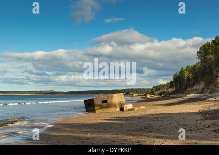 La seconda guerra mondiale le scatole della pillola abbassandosi verso il mare sulla spiaggia di FINDHORN MORAY Scozia Scotland Foto Stock