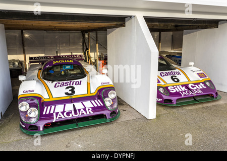 Le Mans vincere 1988 Jaguar XJR9LM vetture nel paddock presso la 72a Goodwood assemblea dei soci, Sussex, Inghilterra, Regno Unito. Foto Stock