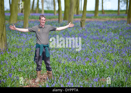 Il National Trust operaio Andy Foley illustrato tra i bluebells a Badbury ammassarsi vicino a Faringdon in Oxfordshire Foto Stock