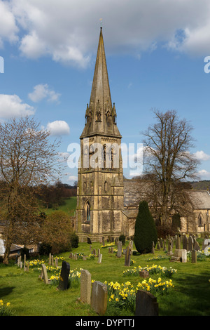 Edensor chiesa di St Peters narcisi derbyshire England Regno unito Gb Foto Stock