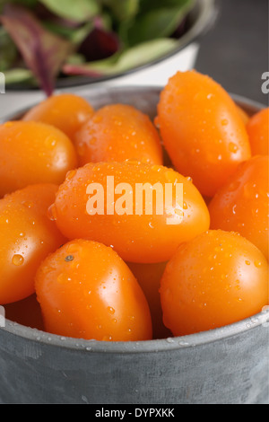 Orange Santa F1 pomodori uva una variazione del più usuale di pomodoro rosso. Foto Stock