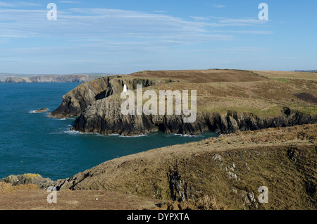 Vista lungo il Pembrokeshire Coast a Porthgain in Galles Foto Stock