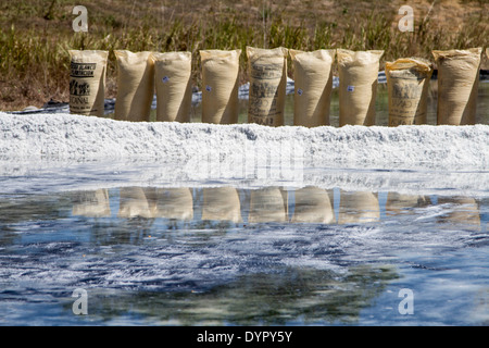 Sale marino naturale produzione in Costa Rica. Solar Salinas. Foto Stock