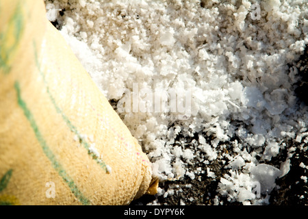 Sale marino naturale produzione in Costa Rica. Solar Salinas. Foto Stock