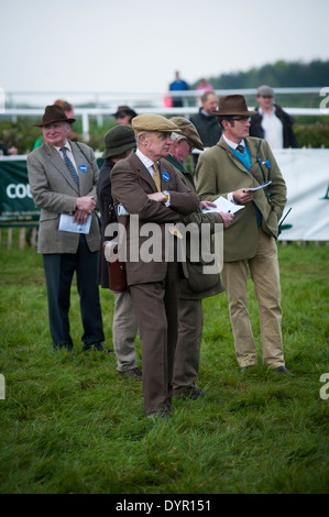 Proprietari e traners guardando i cavalli in parade ring Foto Stock