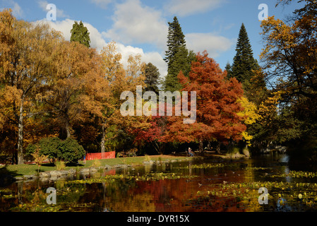 I colori autunnali, Giardini di Queenstown, Queenstown, Isola del Sud, Nuova Zelanda Foto Stock