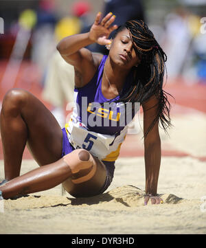 Philadelphia, Pennsylvania, USA. 24 apr 2014. Il giorno 1 della Penn relè, NATALIYAH FRATE (5) dalla LSU compete nel collegio donna salto in lungo campionato di quest anno segna il centoventesimo in funzione dei relè presso Franklin Campo in Philadelphia PA © Ricky Fitchett/ZUMAPRESS.com/Alamy Live News Foto Stock